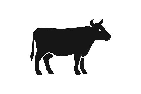 Rind mit Gemüse 500g